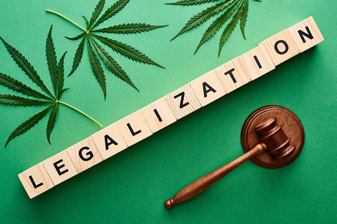 Minnesota Embraces a Greener Future with MN Roots Pioneering Quality Cannabis